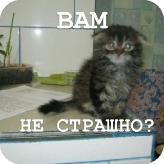 Telegram sticker 😨 Хуй-няяяяяя :3 by @merzotapishet