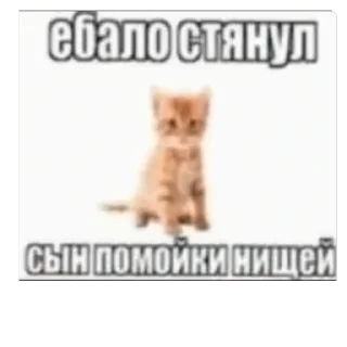 Video sticker 😤 Хуй-няяяяяя :3 by @merzotapishet