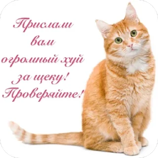 Telegram sticker 🫥 Хуй-няяяяяя :3 by @merzotapishet