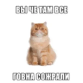 Telegram sticker 🤬 Хуй-няяяяяя :3 by @merzotapishet