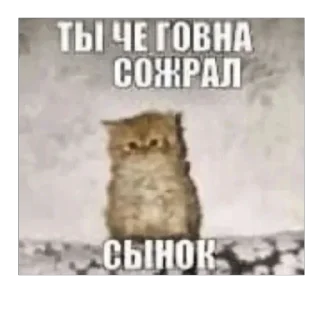 Telegram sticker 😤 Хуй-няяяяяя :3 by @merzotapishet