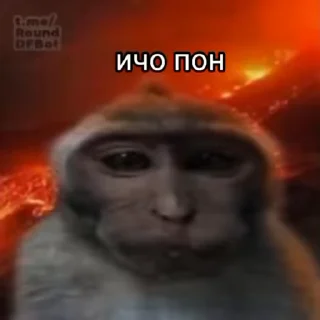 Video sticker 😒 Чифирок :: @QStickBot