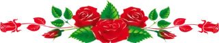 Video sticker 🌹 𝄟 𝐋𝐈꯭⟁ ♬🌹♥️🔥𝄟 @VibeSonora