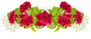 Telegram sticker 🌹 𝄟 𝐋𝐈꯭⟁ ♬🌹♥️🔥𝄟 @VibeSonora