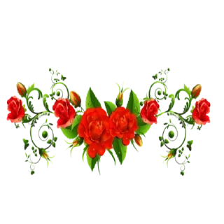 Telegram sticker 🌹 𝄟 𝐋𝐈꯭⟁ ♬🌹♥️🔥𝄟 @VibeSonora