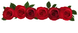 Video sticker 🌹 𝄟 𝐋𝐈꯭⟁ ♬🌹♥️🔥𝄟 @VibeSonora