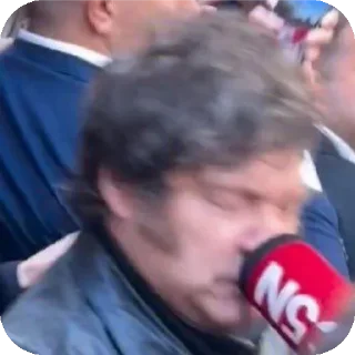 Video sticker 👍 Trunk & Mierdei