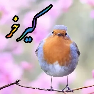 Telegram sticker 🐥 Shashidam 🐣