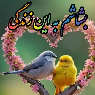 Sticker 🐥 Shashidam 🐣