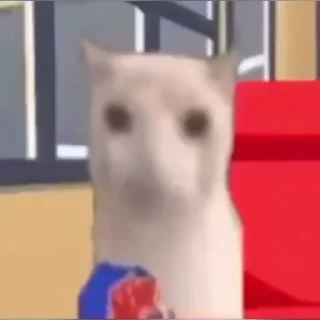 Video sticker ✔️ ......