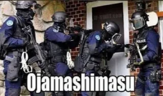 Video sticker 🫐 Megu the pack