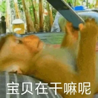Video sticker 🐒 屁股猴