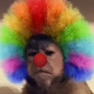 Telegram sticker 🤡 屁股猴