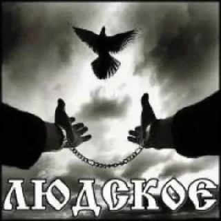 Video sticker 🙏 пацанское @stickrubot