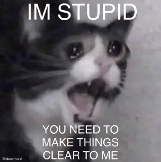 Telegram stiker 💔 Ledy meme :: @fStikBot