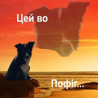 Telegram sticker 🤨 Дикі твітерські дотепи