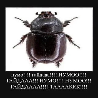 Telegram sticker 🎉 Дикі твітерські дотепи