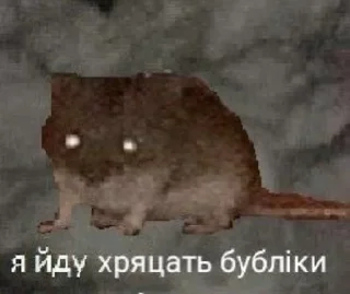 Video sticker 🍩 Дикі твітерські дотепи