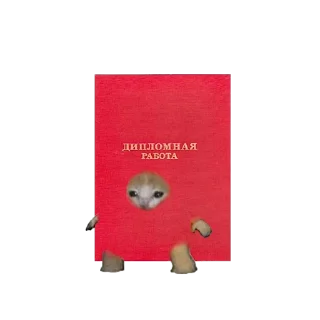 Video sticker 📕 SOGAND🤨