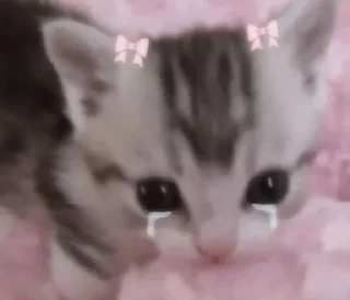 Телеграм стикер 😭 SOGAND🤨