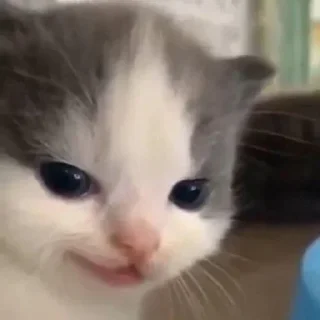 Телеграм стикер 😈 SOGAND🤨