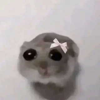 Телеграм стикер 🎀 SOGAND🤨