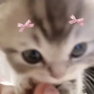 Телеграм стикер 🎀 SOGAND🤨