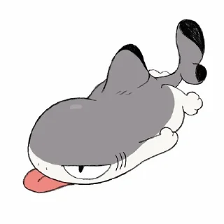 Telegram sticker 😒 yogin幺菁 - shark kitty