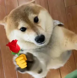 Телеграм стикер 😀 @STJCKERSTG 🤏🏻 Funny Stickers