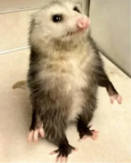 Sticker 🧍‍♂️ poss