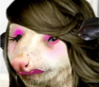 Video sticker 💅 poss