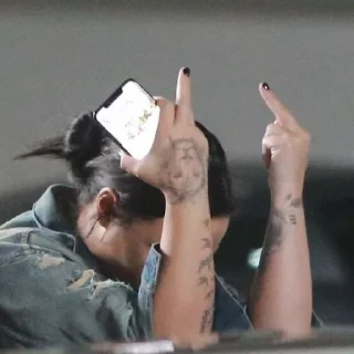 Telegram sticker 🤚 Demi Lovato Reacts by @ddlovatobr