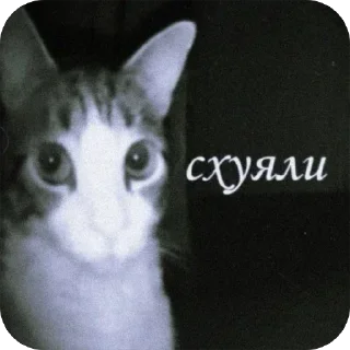 Telegram sticker 🤔 елки палки