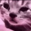 Video sticker 😢 ARlyona эмоут...