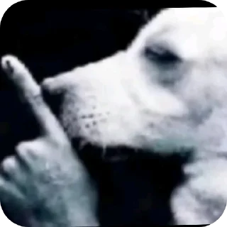 Telegram sticker 🤫 Смiхуятина @bromista609