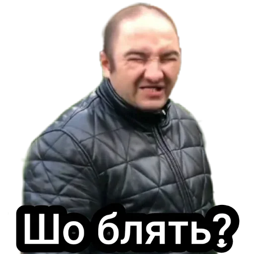 Telegram sticker 🤔 аііііі тігр🐯 :: @fStikBot