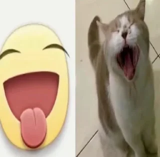 Telegram sticker ⭐️ Cars - @Itsamen