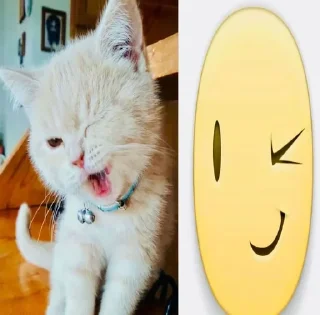 Telegram sticker ⭐️ Cars - @Itsamen