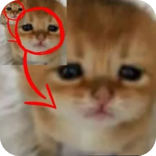 Telegram sticker 🤲 Cars - @Itsamen