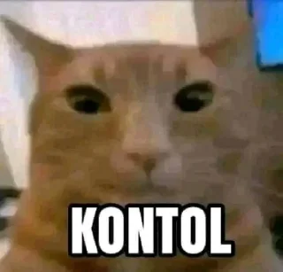 Telegram stiker 😊 @NoOSInstalled's Kang Pack Vol.1 (Video)