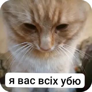 Sticker 👍 Убю