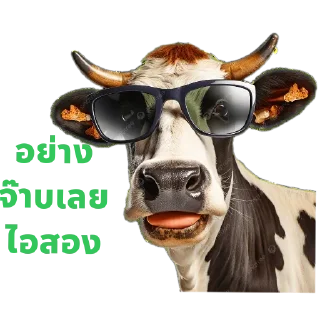 Telegram sticker 🥽 บักงัวหัวคัว by.ดอกฟ้า