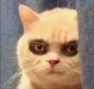 Telegram sticker 🙄 @ITZ_HYPER_XD's sᴛɪᴄᴋ-ᴘᴀᴄᴋ (@HyperX_ROBOT)