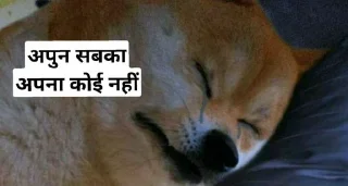 Telegram sticker 🛡 @ITZ_HYPER_XD's sᴛɪᴄᴋ-ᴘᴀᴄᴋ (@HyperX_ROBOT)