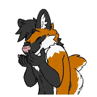 Video sticker 😆 Dioxi