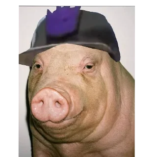 Video sticker 🐷 lil2025