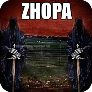 Телеграм стикер 🖼 писяпопа