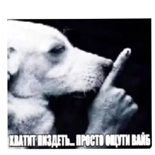 Телеграм стикер 🖼 писяпопа