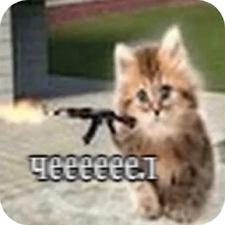 Телеграм стикер 🐱 писяпопа