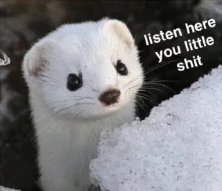 Telegram sticker 😠 @Top_Kekk 's bullshit